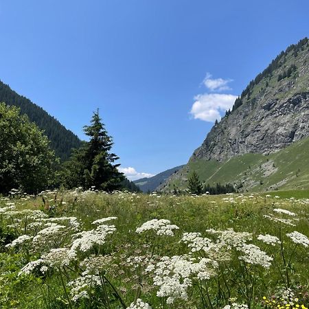 T2 Vue Sur Le Parc De La Vanoise La Plagne Exteriör bild